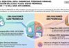 Res Gral 5898/2026. ARCA. Ganancias. Personas Humanas. Presentación DDJJ 2025. Prórroga. Anticipos 1 y 2 DDJJ 2026 sin cambios
