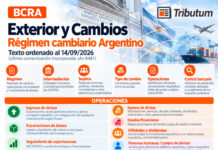 BCRA. Exterior y Cambios. Régimen cambiario argentino. Texto ordenado al 14/09/2026