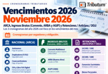 Cronograma vencimientos Año 2026. ARCA, Ingresos Brutos (Convenio, ARBA y AGIP) y Retenciones, Anticipos y DDJJ. Nov 2026