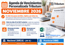 Agenda de Vencimientos Personalizada Tributum: Noviembre 2026